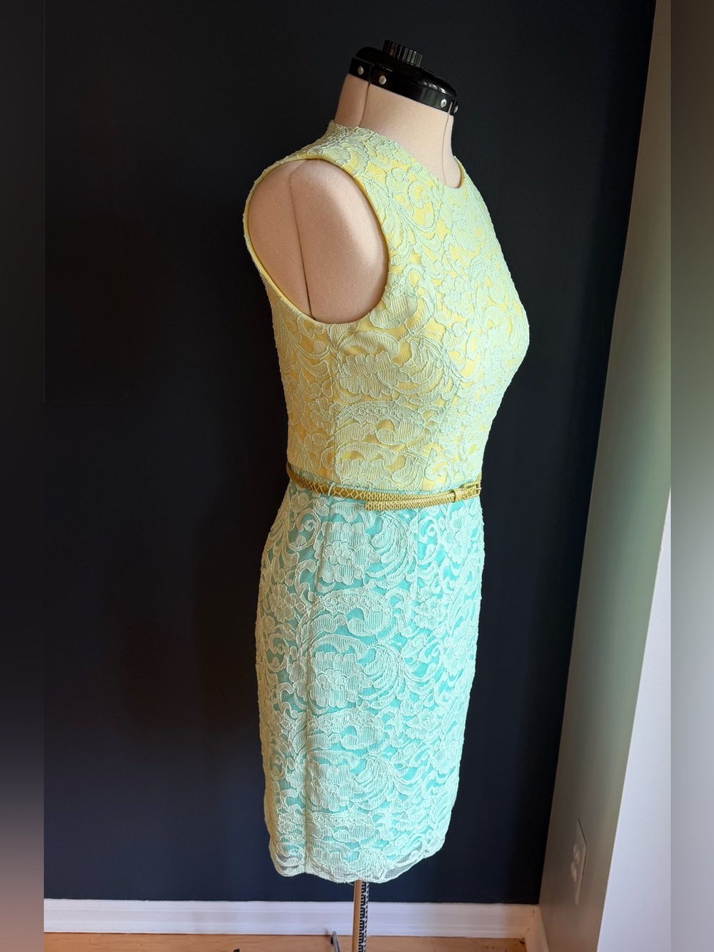 Maggy London Petites, Sleeveless Corded Lace Overlay Sheath Dress - Picture 2 of 10